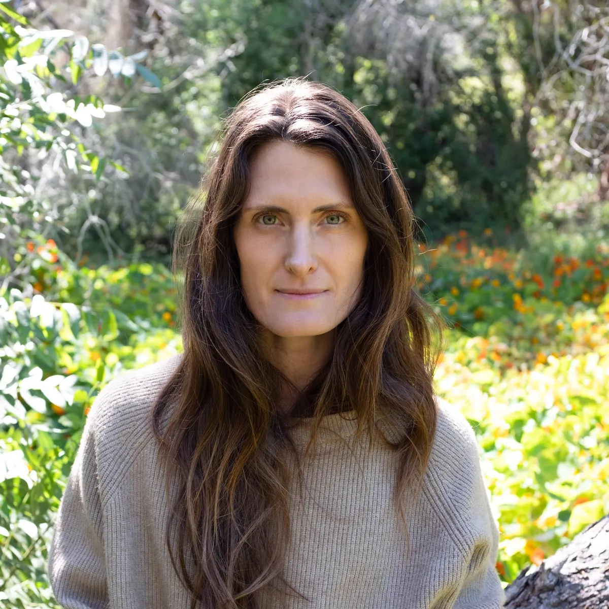 Ara Katz